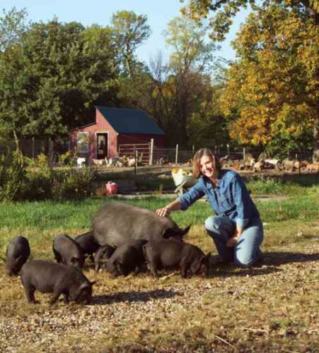 American Guinea Hog: A Small Pig Breed for Homesteaders